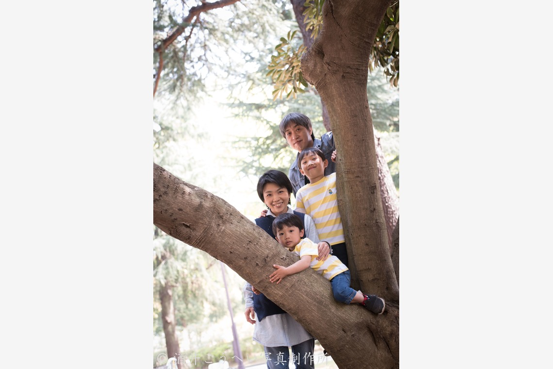酒井こうへい写真製作所が撮影した写真のアルバム「公園でファミリーフォト」