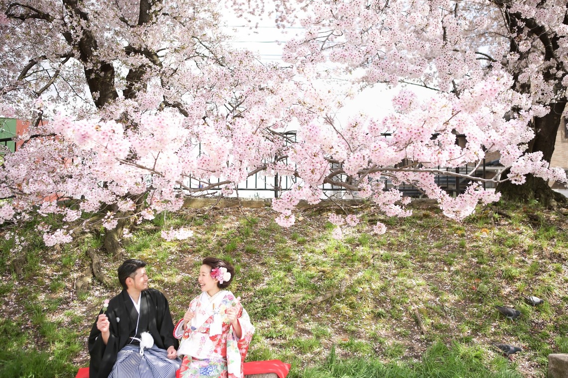 アトリエカーシャが撮影した写真のアルバム「京都の桜＆和装ロケ」