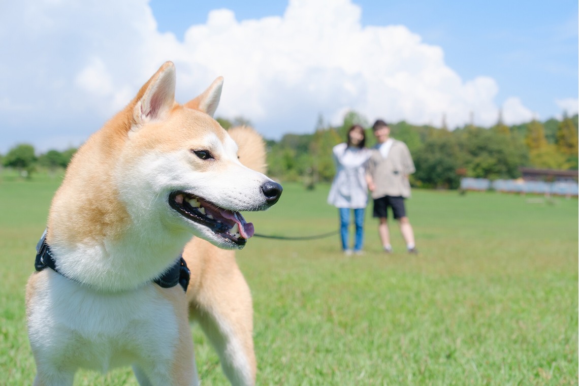 Photo of couple photo shoot taken by 高夏写真店