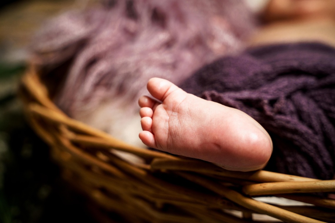 Yossyが撮影した「ファミリー」の写真