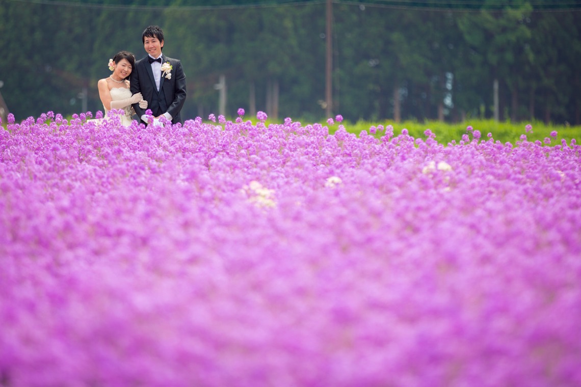 studio HATOYAが撮影した「婚礼写真6」の写真