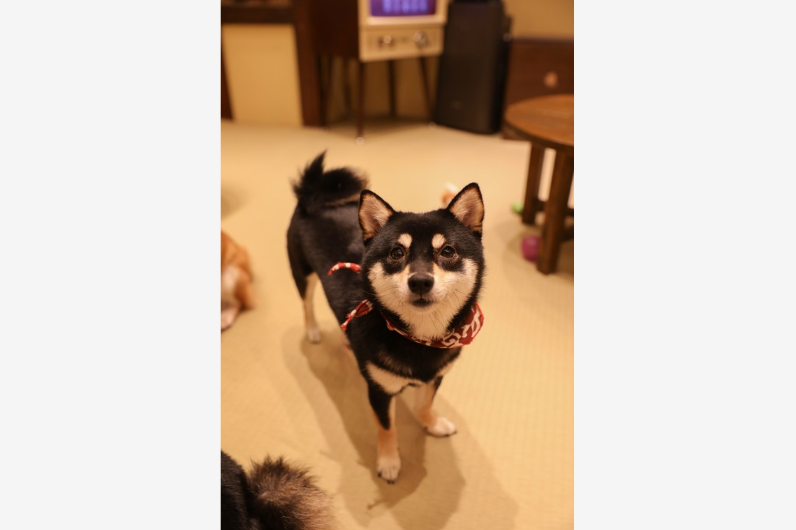 松見　翠