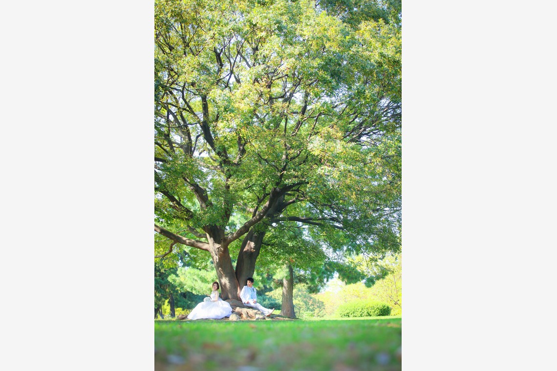 ウェディングアベニューが撮影した「庄内緑地公園　名古屋市」の写真