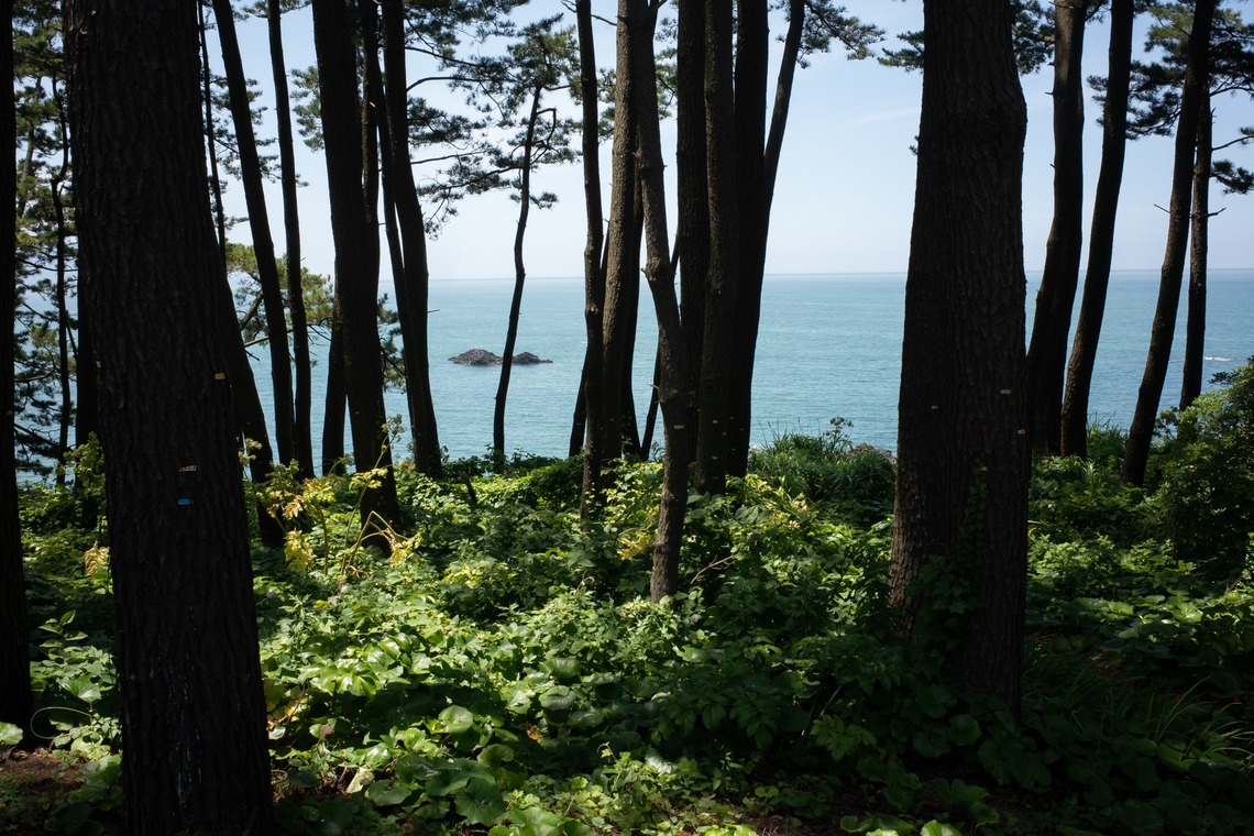 眞田 厚司が撮影した「風景」の写真