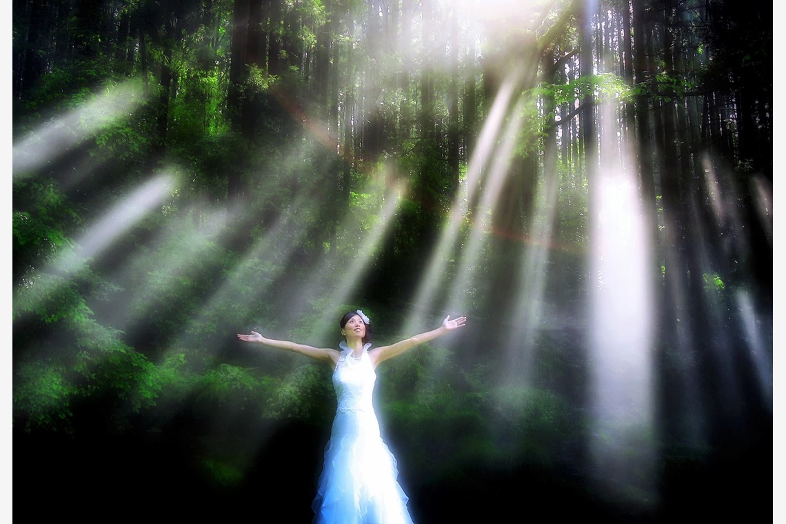 RANMARU  STYLEが撮影した「フォトギャラリー」の写真