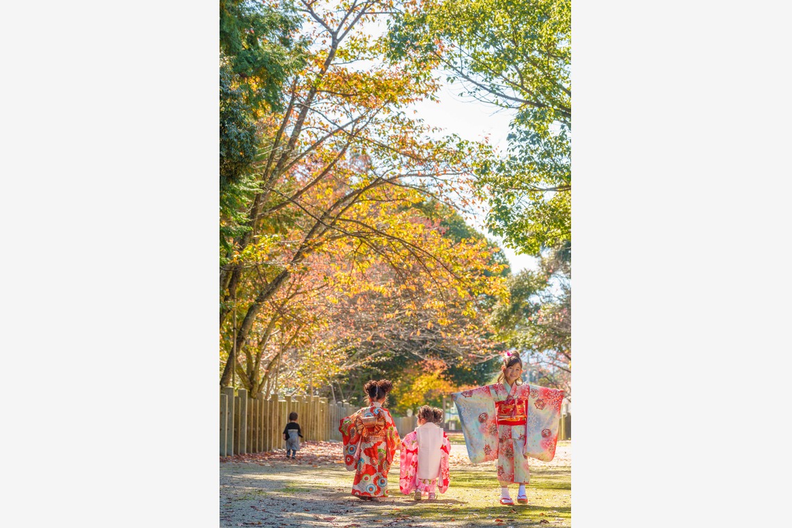 山田由佳が撮影した写真のアルバム「七五三撮影」