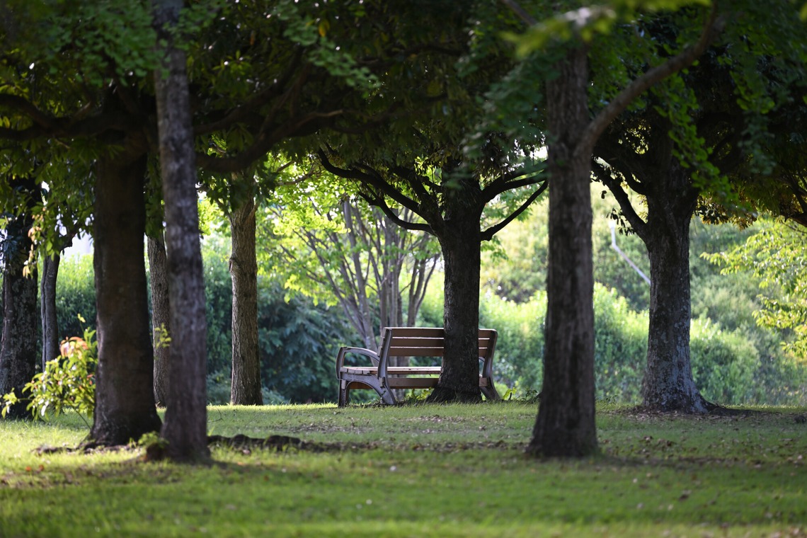ライトステージが撮影した「イメージカット」の写真