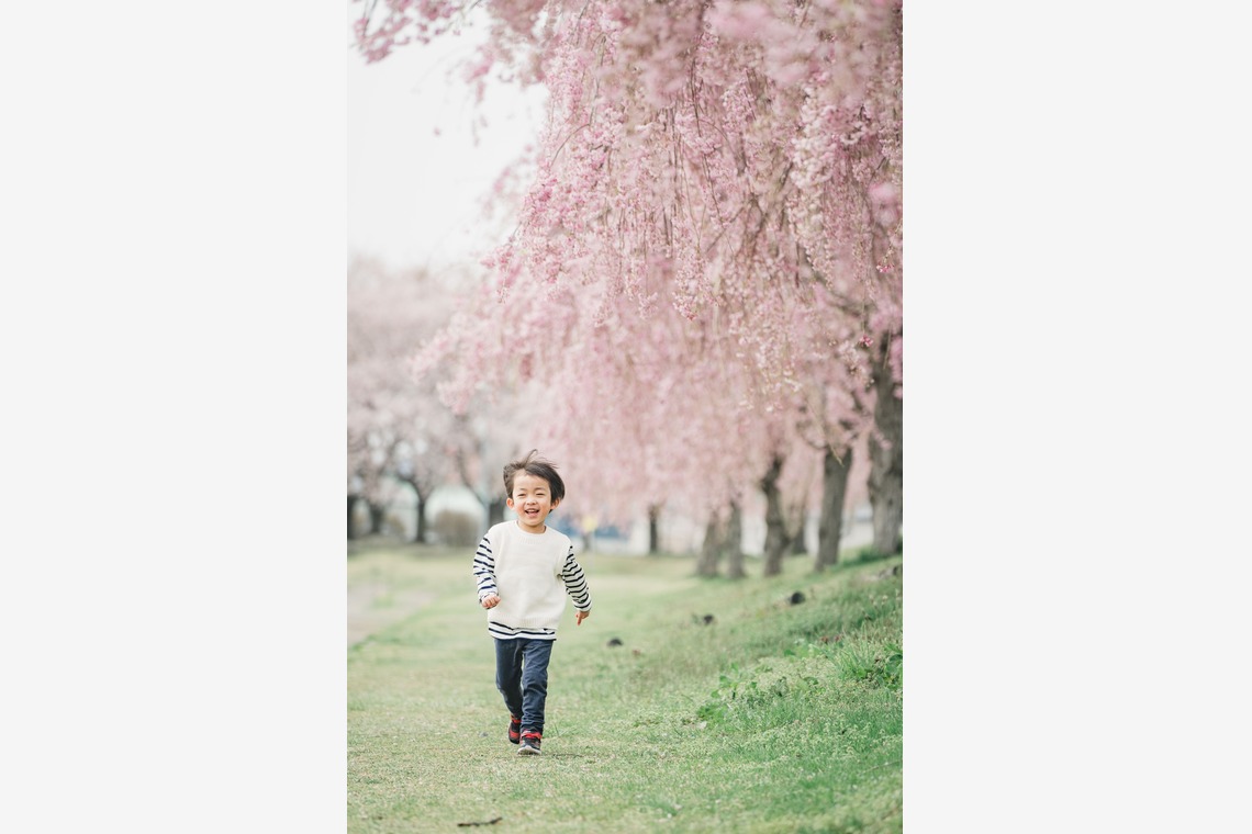 いしづか ちひろが出張撮影した家族写真(キッズ,ベビーフォト)などが写った「桜ロケーション撮影/八戸」の家族写真