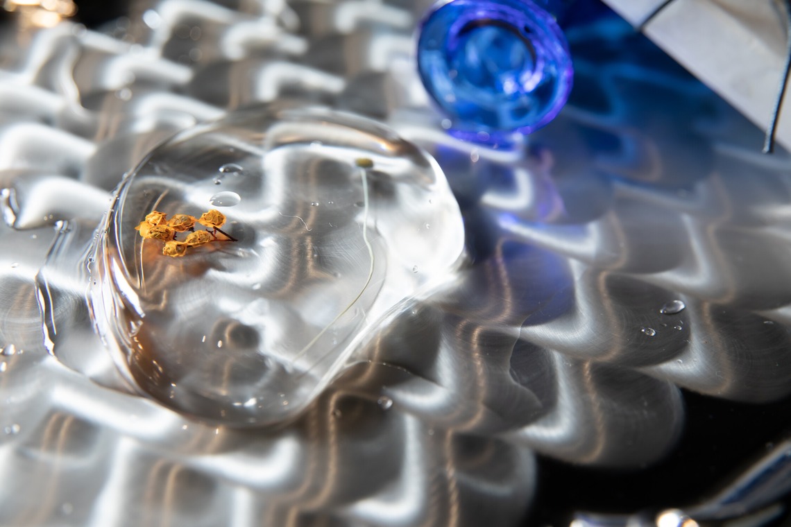 Good Day PHOTOが撮影した写真のアルバム「商品撮影」