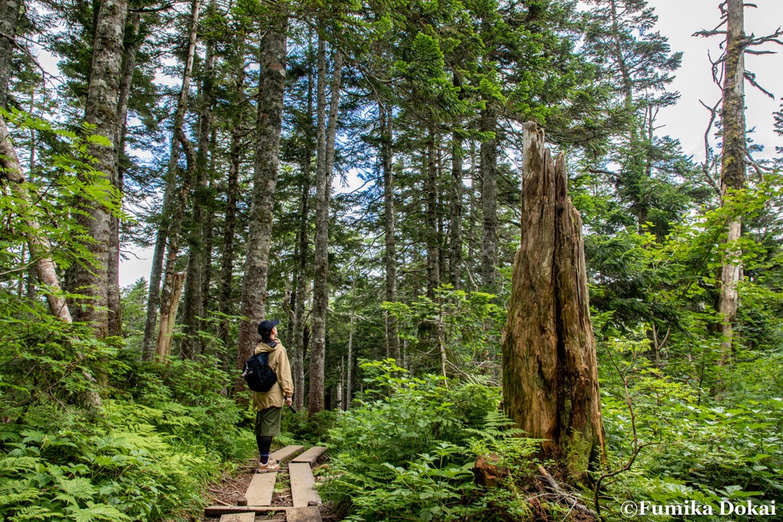 道海史佳が撮影した「観光撮影」の写真