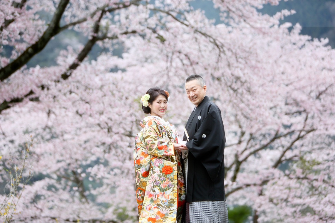KIKIウェディングが撮影した写真のアルバム「桜　桜　桜」