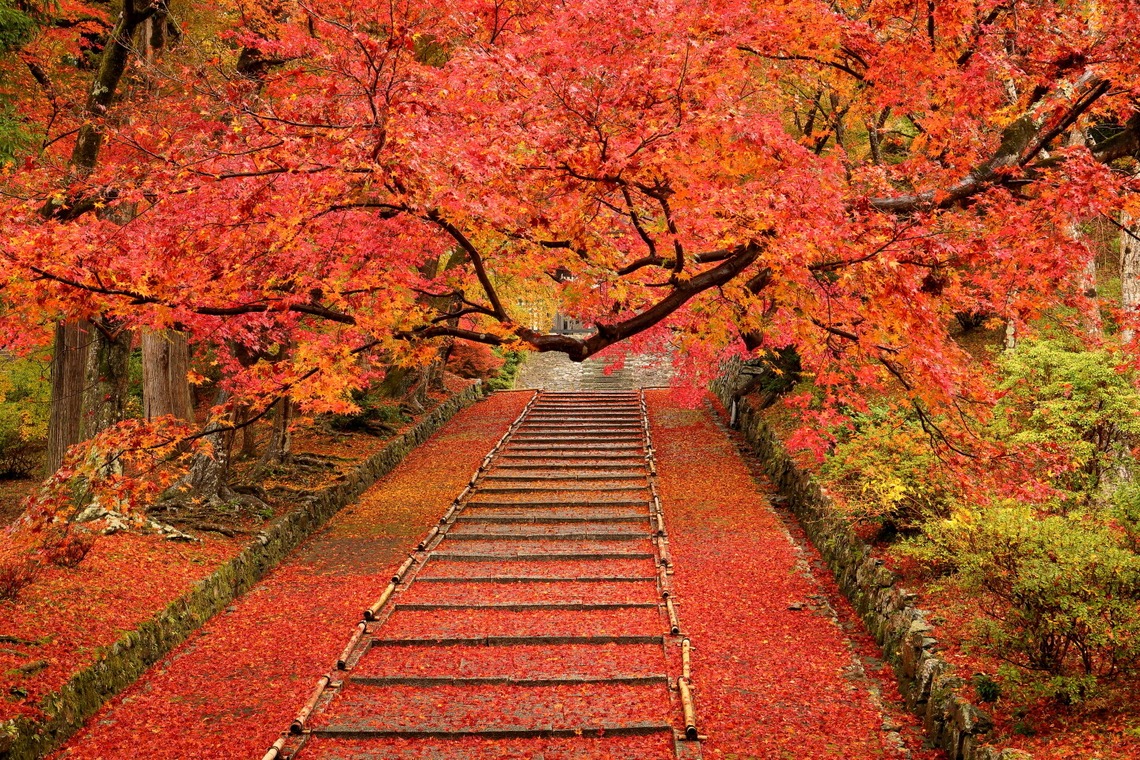 溝口崇が撮影した写真のアルバム「風景写真」