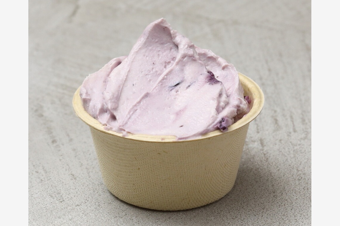 森安　照が撮影した写真のアルバム「ジェラート・アイス・サンドイッチ・ドリンク」