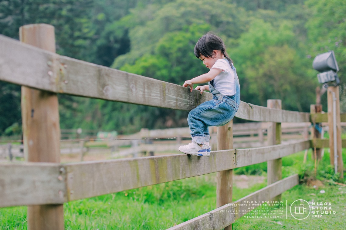 MF STUDIO Migoが撮影した「KeyKey家族の写真」の写真