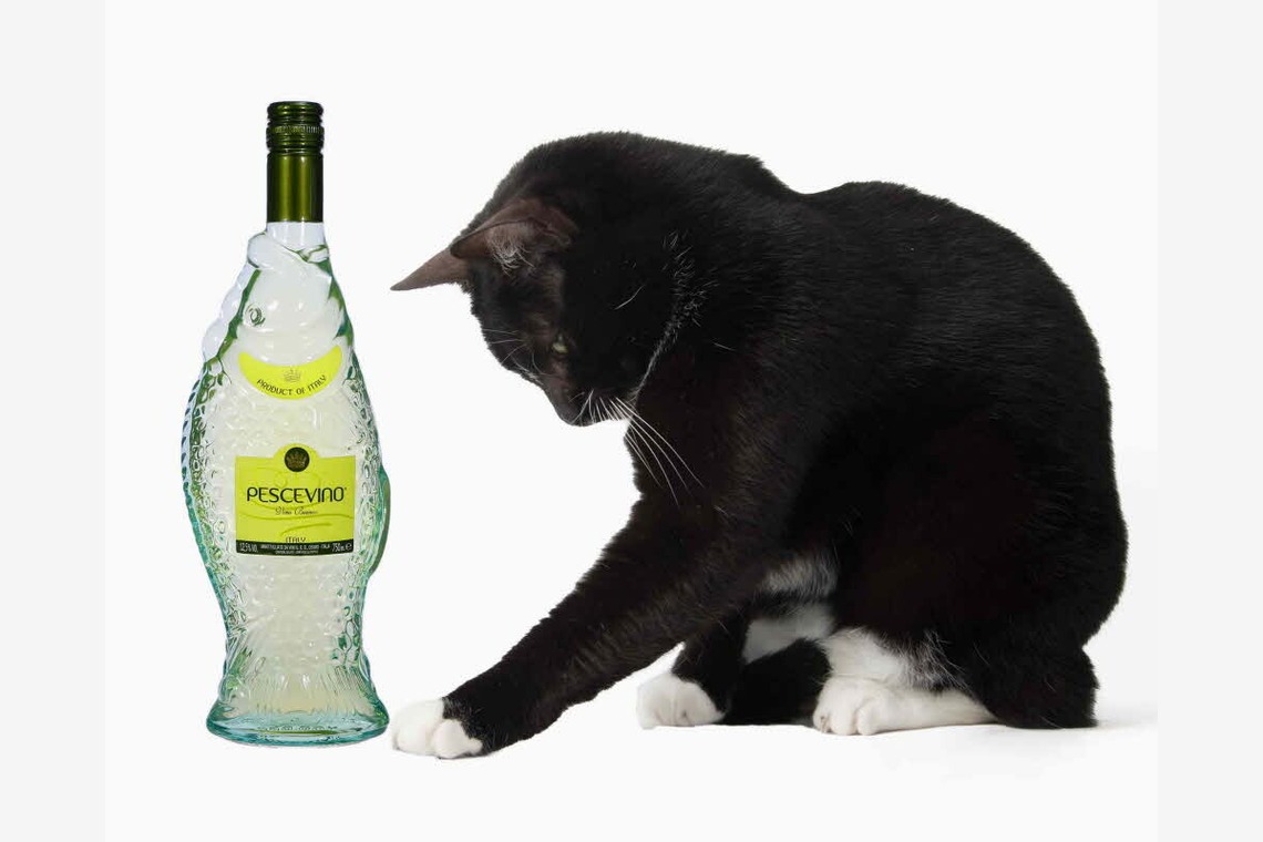 赤木写真事務所（代表　赤木武博）