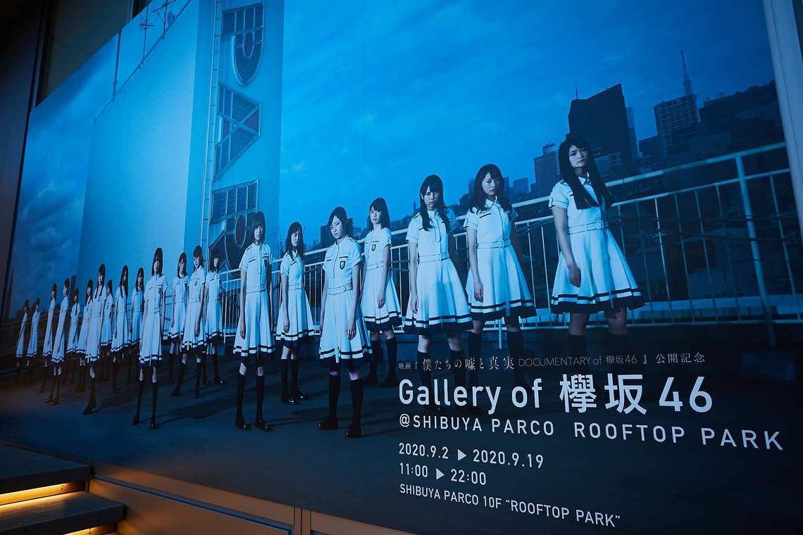 稲葉幸辰が撮影した写真のアルバム「夜空に輝く欅坂46」