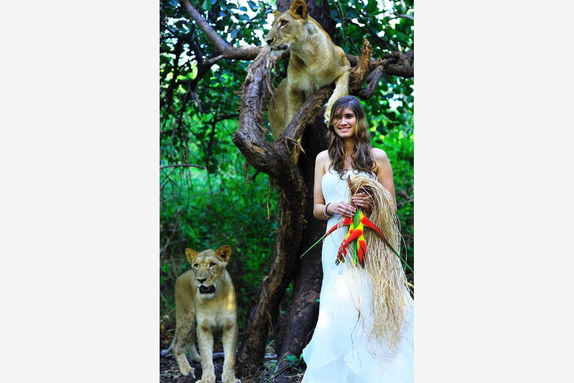 今林 浩一が撮影した「モーリシャス」の写真