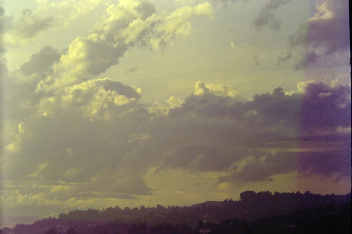 baysidecoyoteが撮影した「セカンドイメージ」の写真