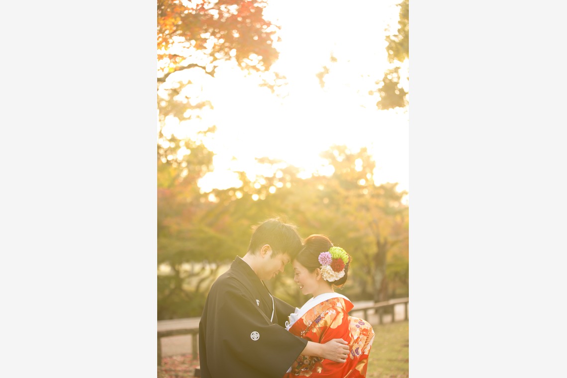 studio zeroが撮影した写真のアルバム「奈良」