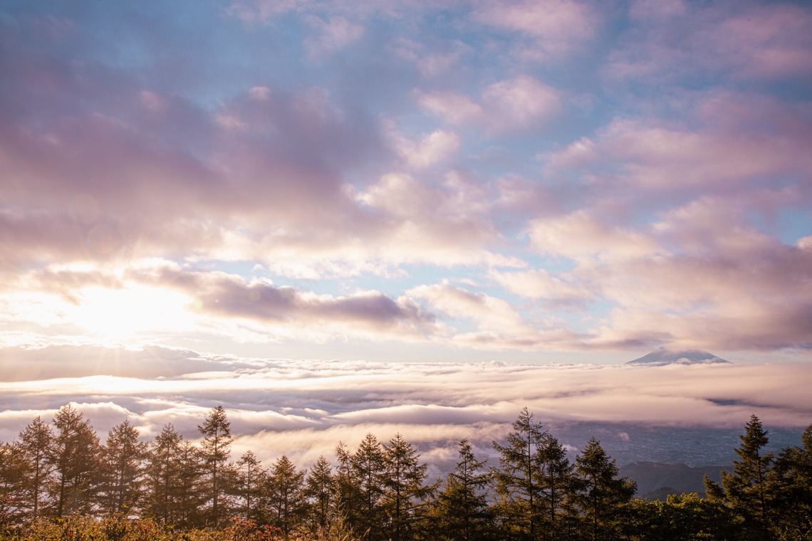 内藤駿介が撮影した「風景」の写真