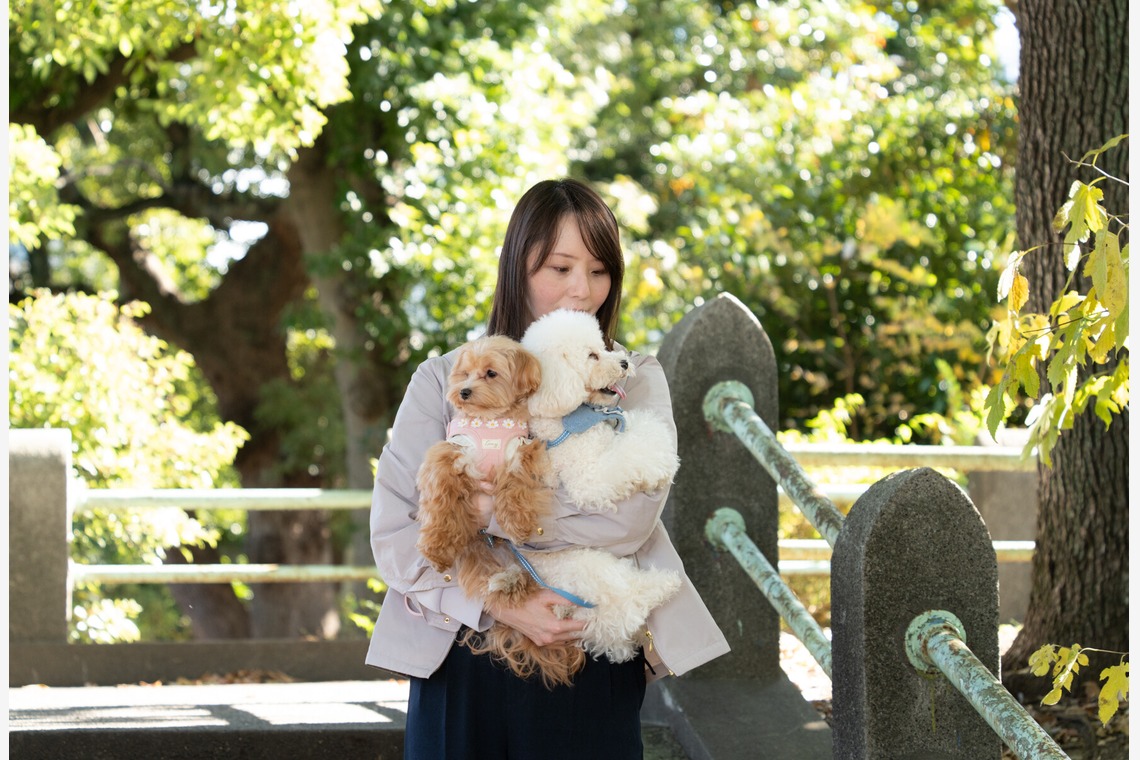 千葉が撮影した「ペット撮影」の写真