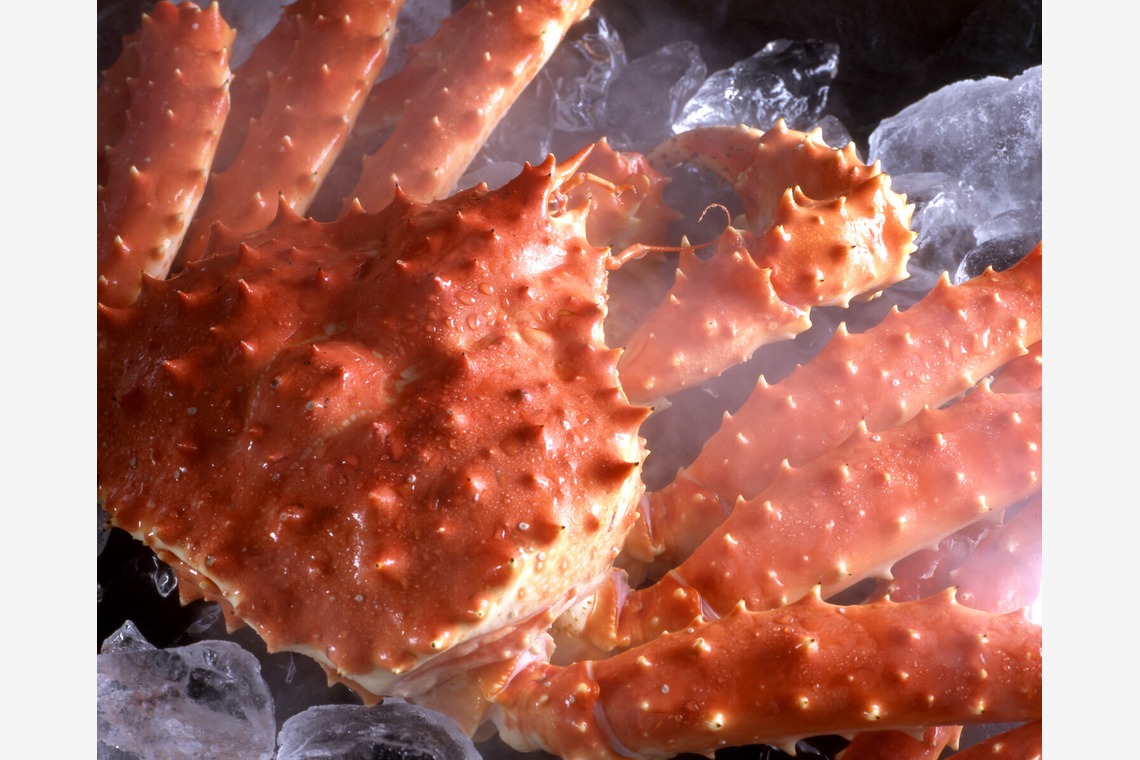 写真事務所ポートフォリオが撮影した「私のライフワーク」の写真