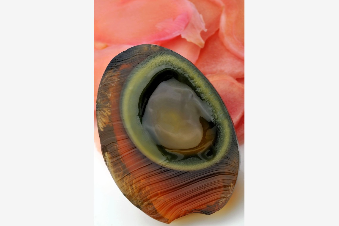 菊地事務所が撮影した写真のアルバム「森羅万象」