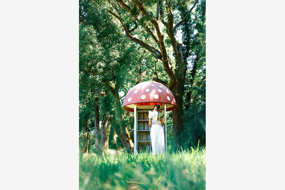 にしむら　けいすけが撮影した「」の写真