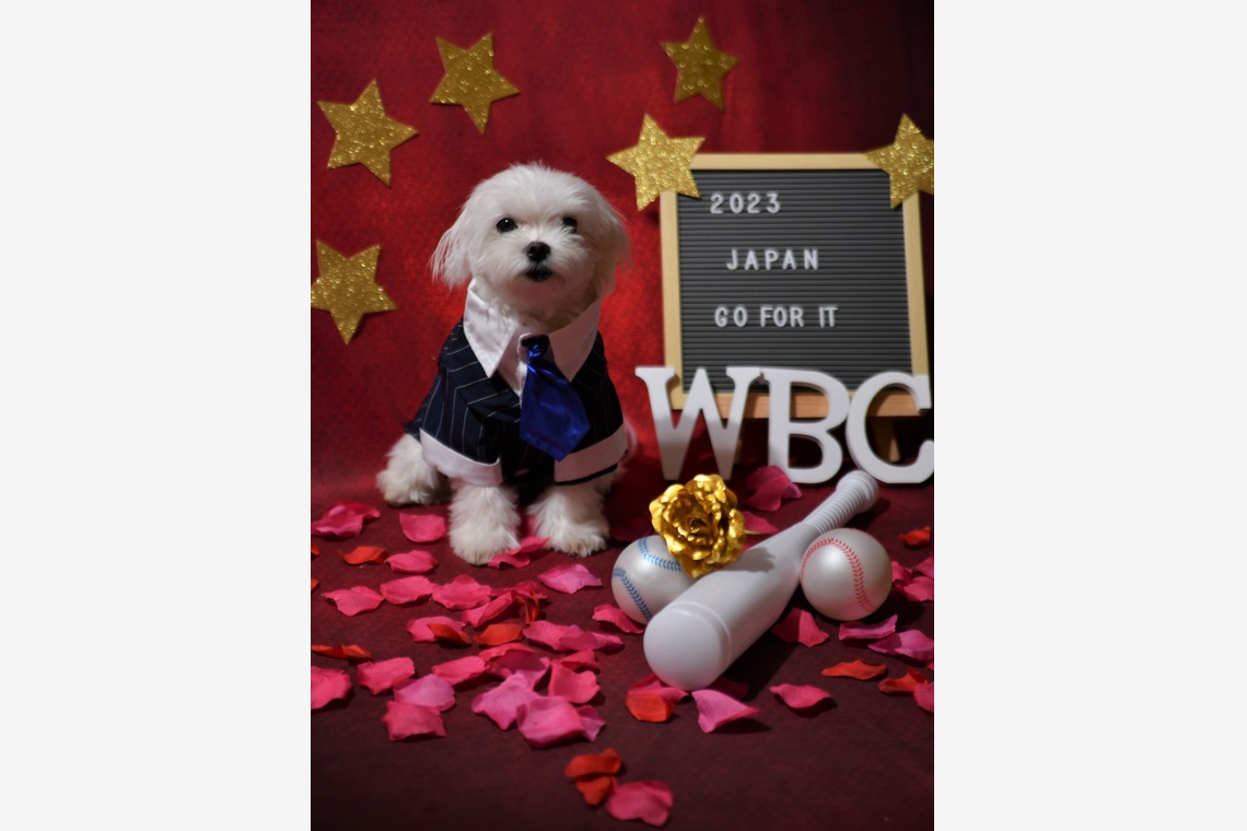 Photo la feliceが撮影した写真のアルバム「Photo la felice」