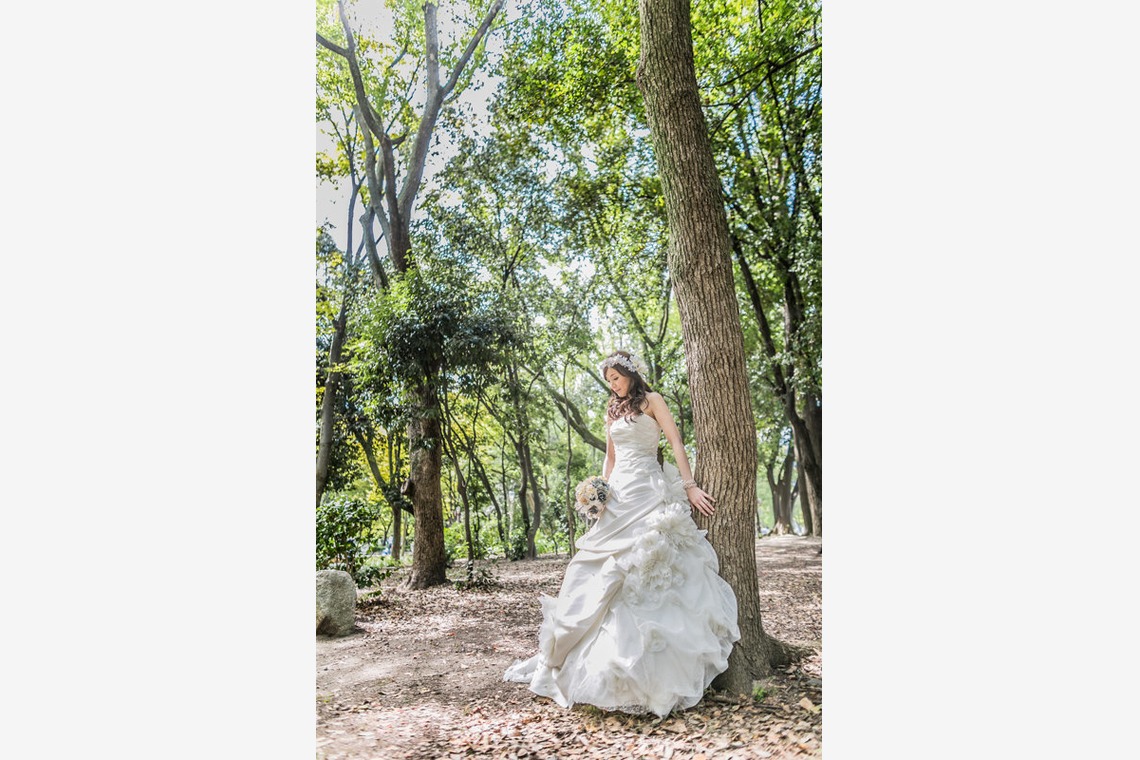 阿部写真館　大阪本町 靭公園前が撮影した写真のアルバム「緑のロケーション」