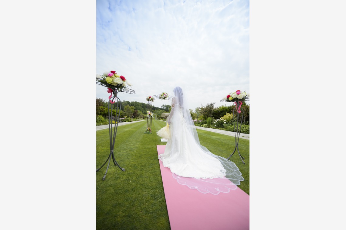 Album of the Wedding, Bridal taken by C.RELATIONS - 