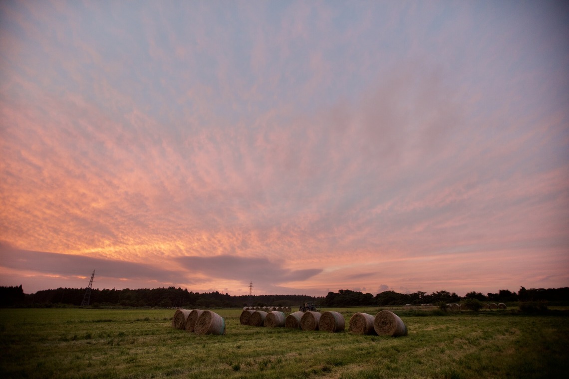 TATEZOUが撮影した「風景写真」の写真