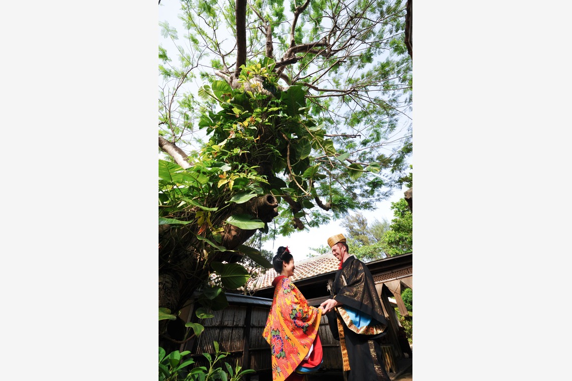 アルルウェディングが撮影した写真のアルバム「八重山古民家」