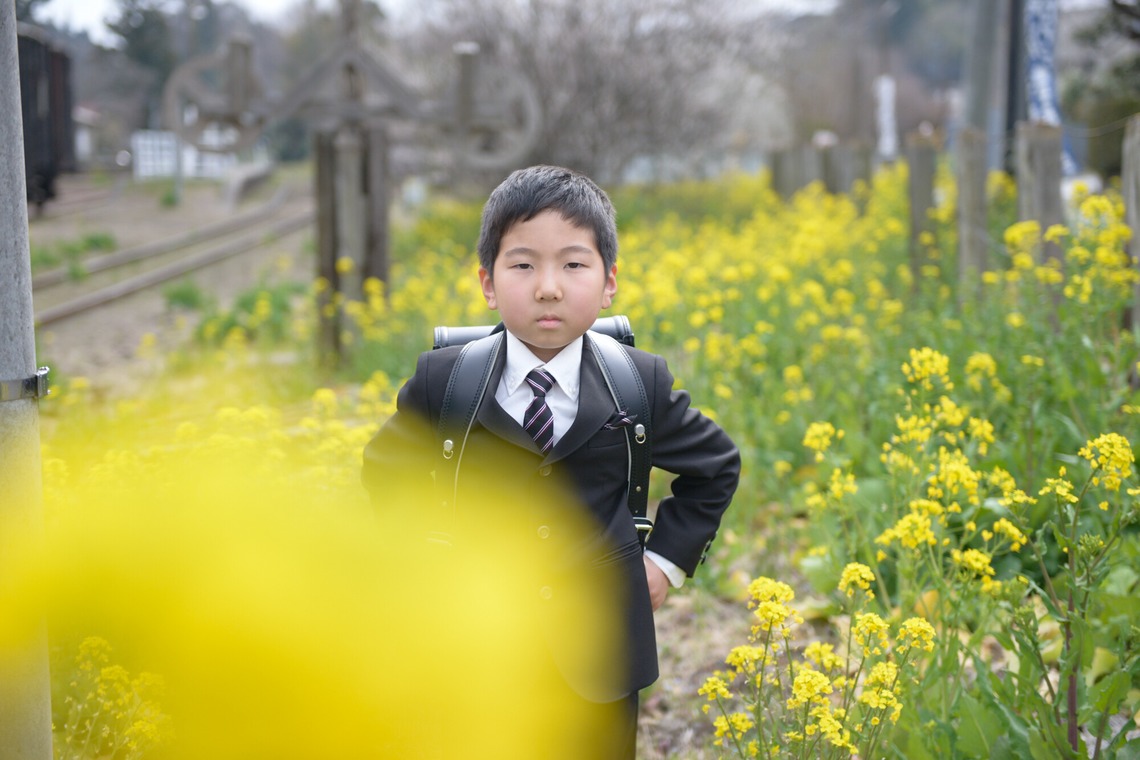 アラタンホヤガが撮影した写真のアルバム「一年生のお祝い」