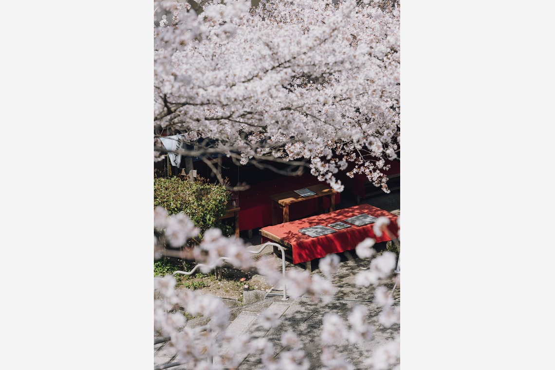 三谷 朋也が撮影した「日本の風景」の写真