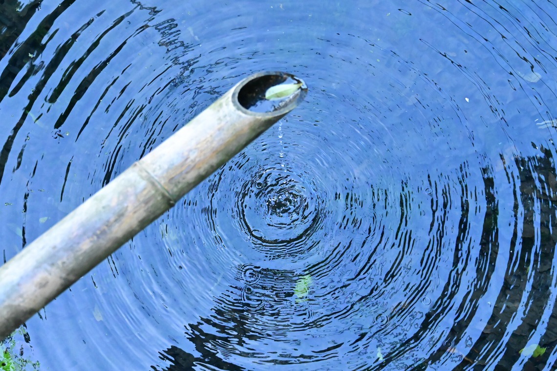 あまかど スタジオが撮影した「風景・史跡の写真撮影」の写真