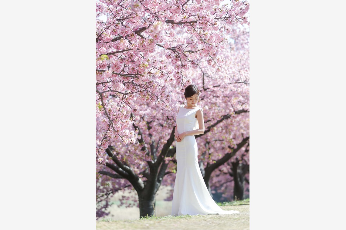 Album of the Wedding, Bridal taken by Studio CUDDLE - Pre Wedding Photo