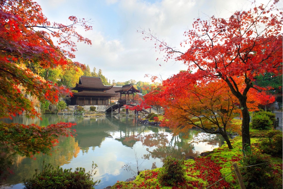 蛭子真写真事務所が撮影した「関西」の写真