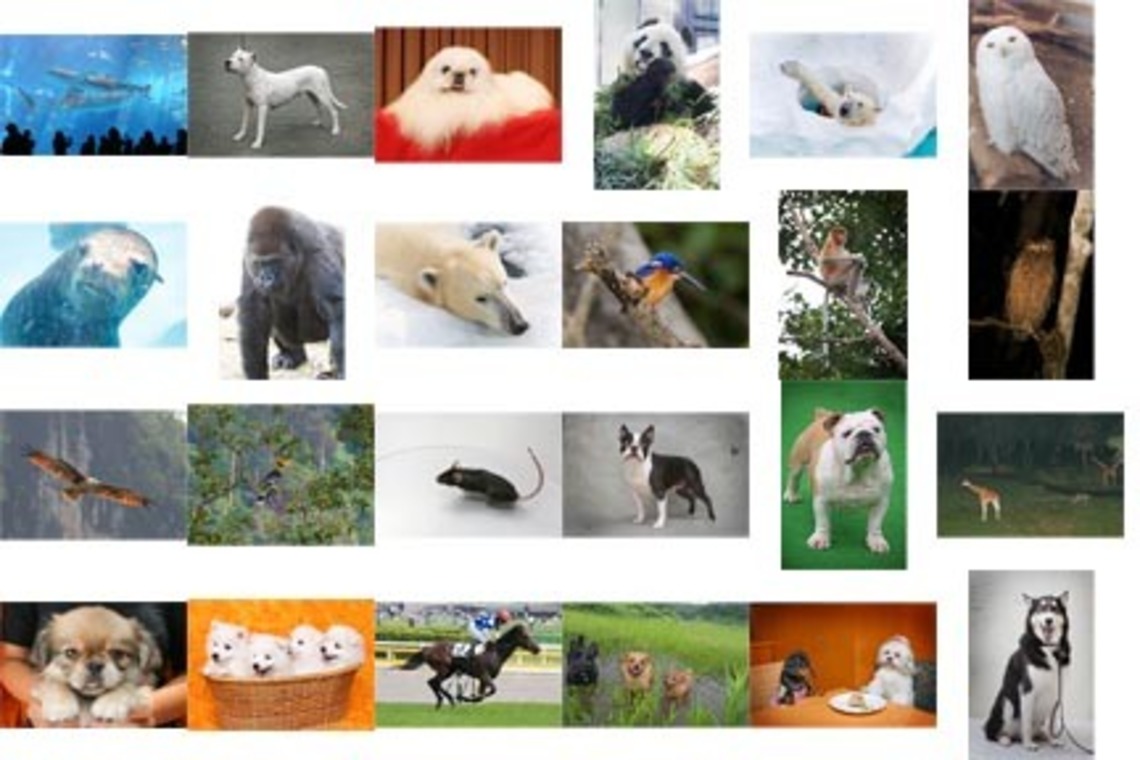 オーロラスタジオが撮影した「作例」の写真