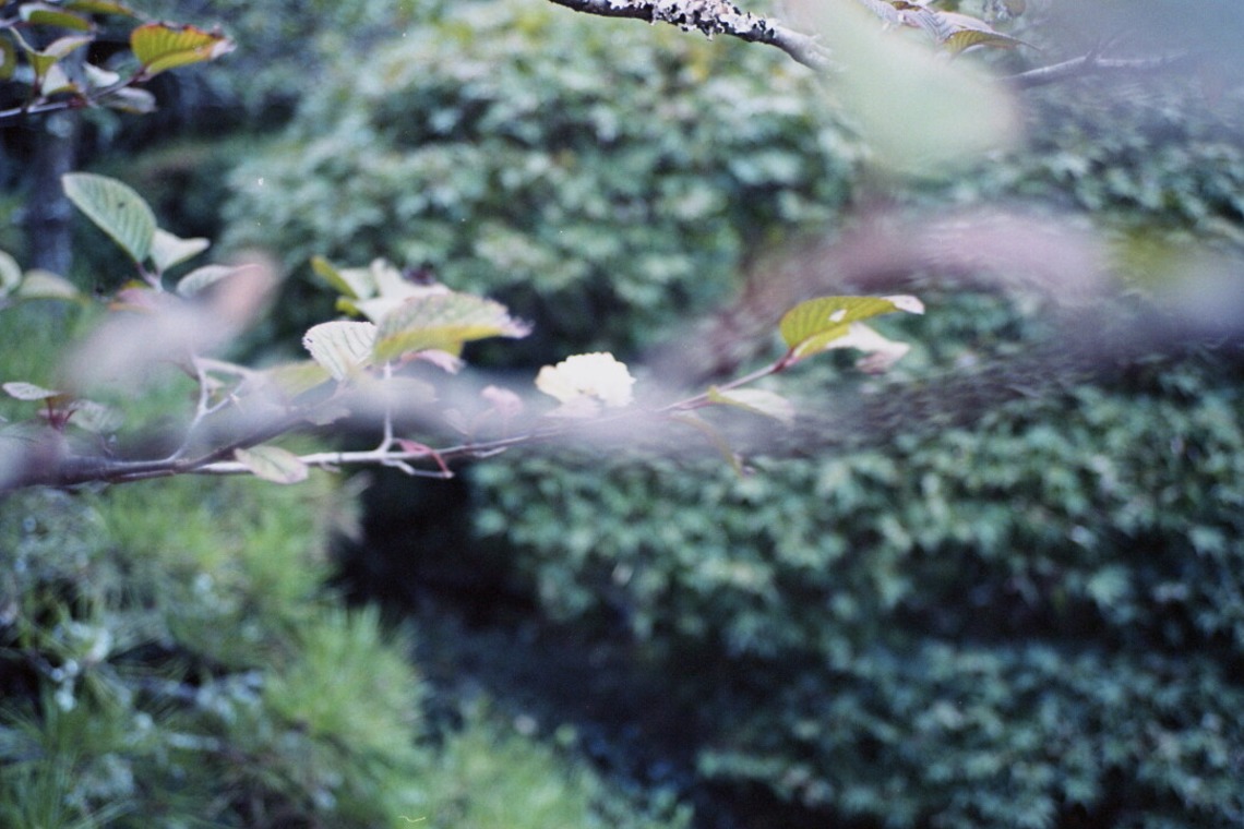 熊谷順写真事務所が撮影した「日本の美しい風景」の写真