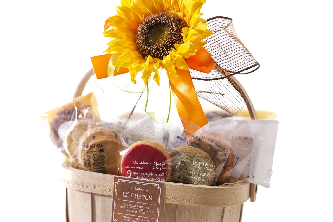 A2FT.jpフォトグラファーまつもとあきらが撮影した「2019年7月 ルシャルトン様」の写真