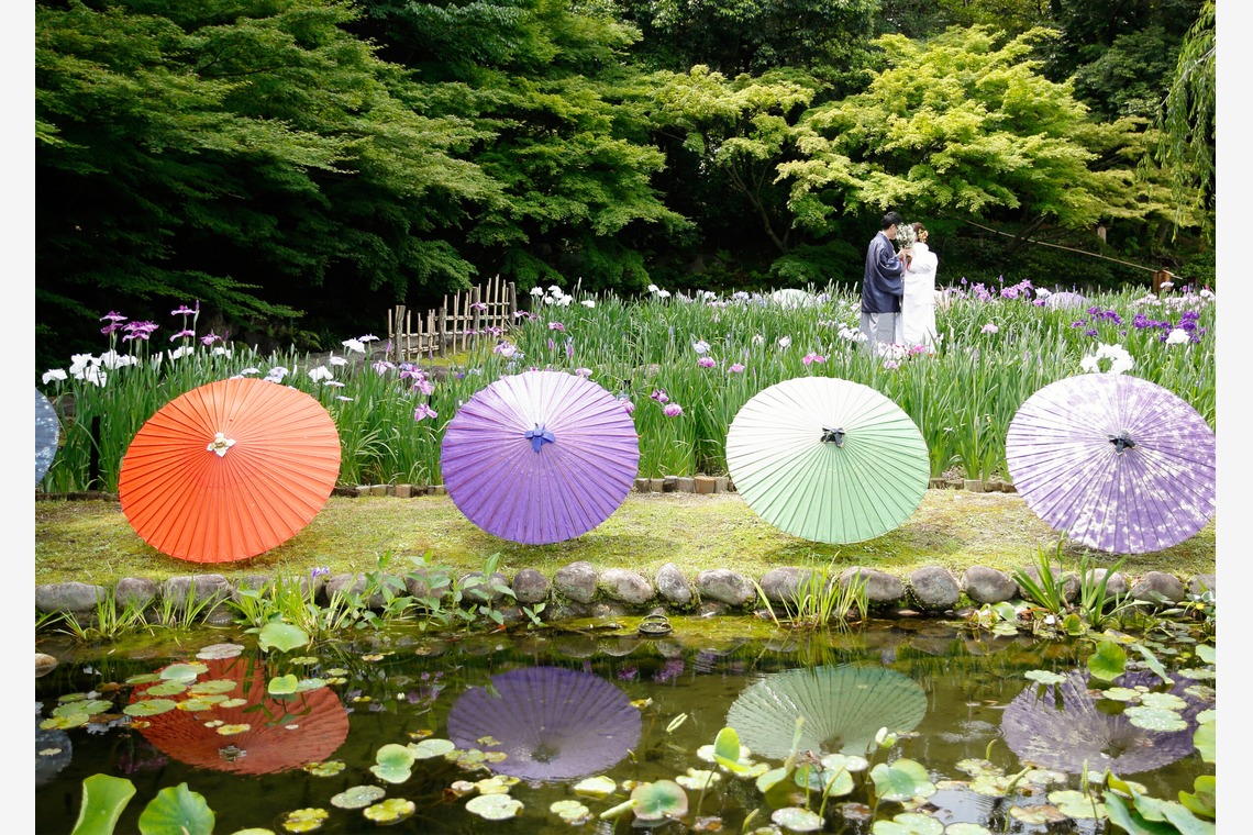 フォトスタジオ　ファータ（武田 渉）が撮影した「フォトギャラリー」の写真