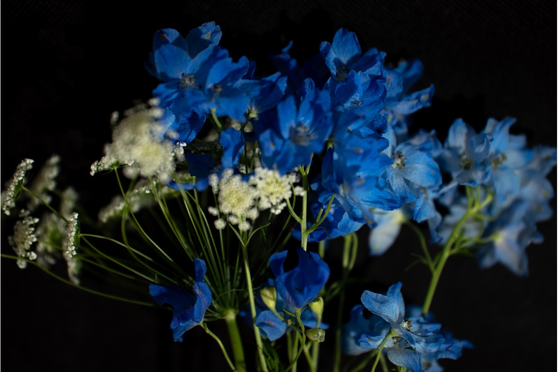 SmileMemoriesPhotoStudioが撮影した「小物・花撮影」の写真