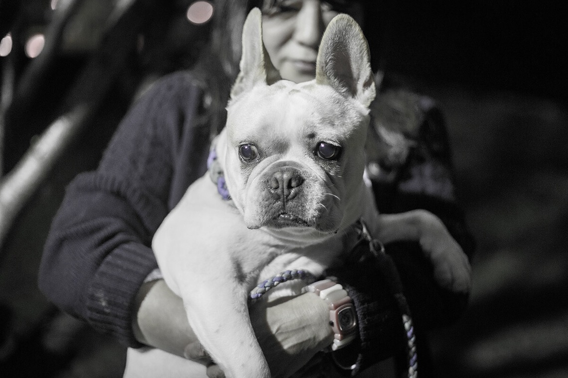 石橋 颯が撮影した「プロフィール写真撮ります。」の写真