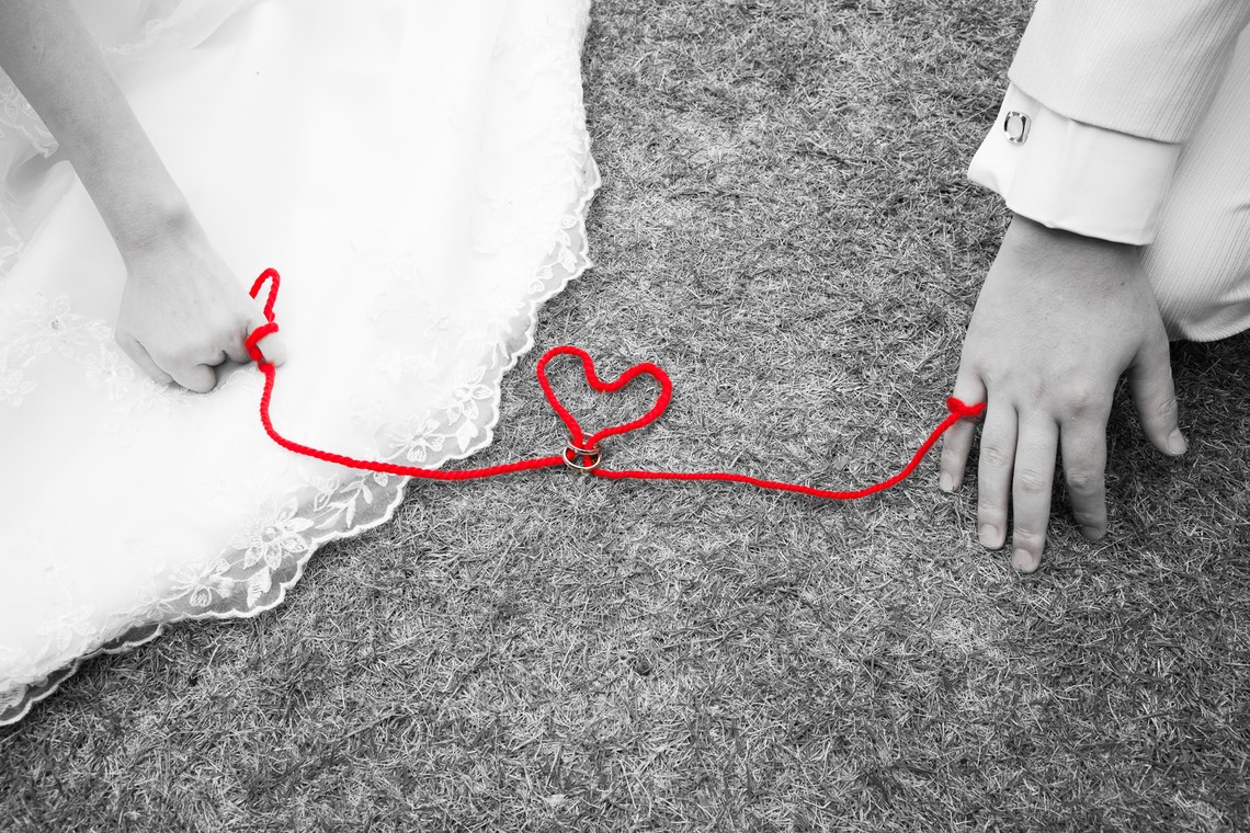 フォトグラフィカが撮影した写真のアルバム「フォトギャラリー」