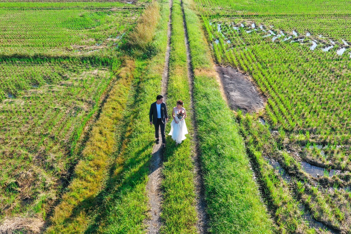 佐野章太が撮影した「ウェディングフォト」の写真
