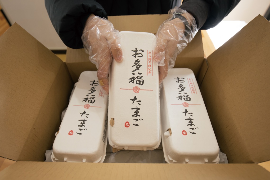 SHO HASEGAWAが撮影した「産地で働く（取材撮影）」の写真