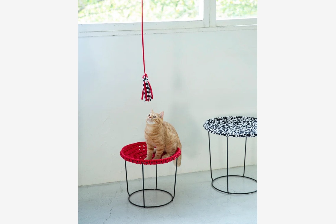 白井由香里写真事務所が撮影した写真のアルバム「動物」