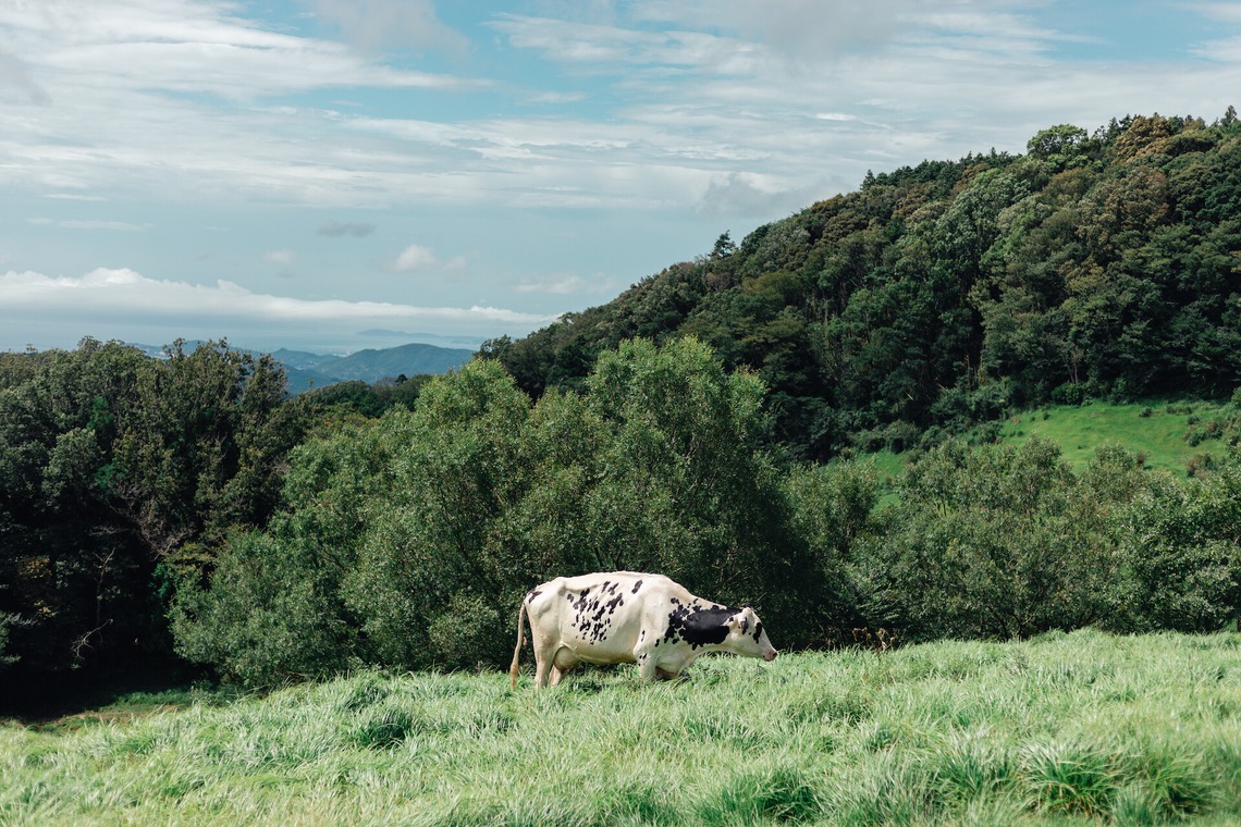 合同会社ギンエンが撮影した「家族写真_和歌山」の写真