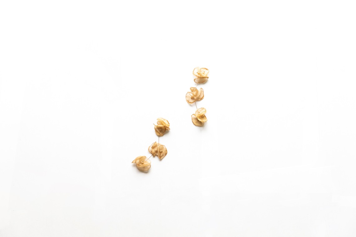 安藤栞里が撮影した「商品撮影」の写真